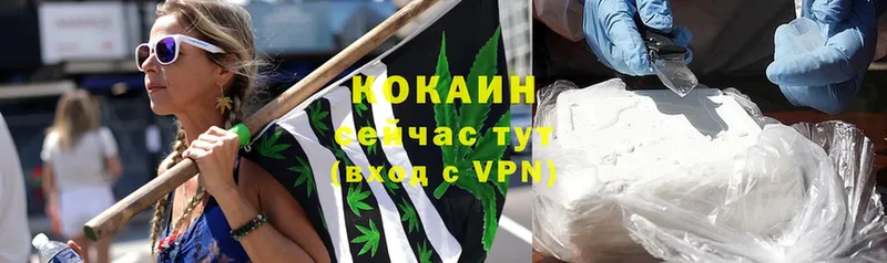 COCAIN VHQ Новокузнецк